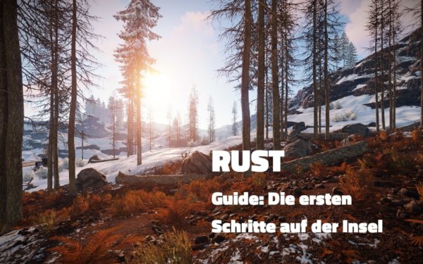 Rust Guide- Die ersten schritte auf der Insel