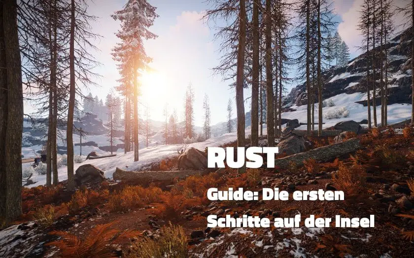 rust-guide-erste-schritte-auf-der-insel