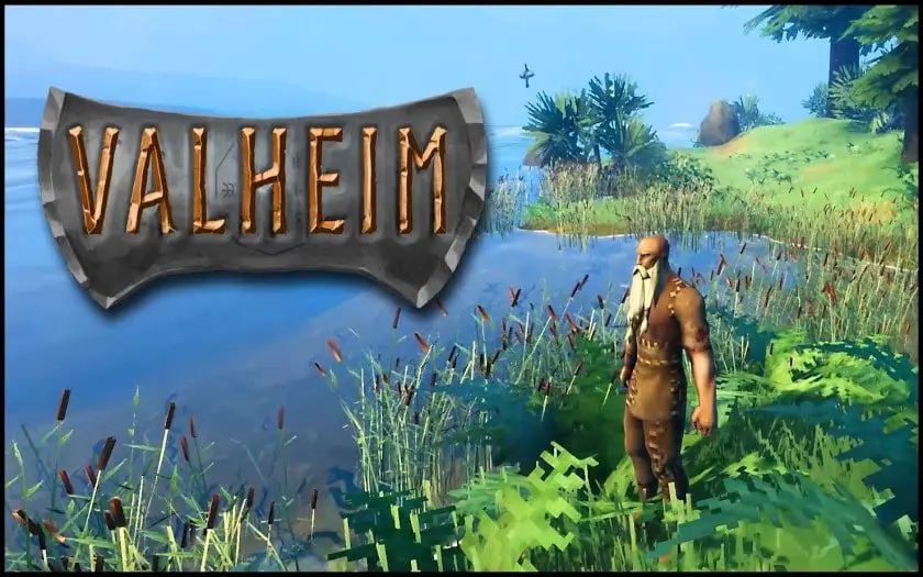 valheim steam surival game