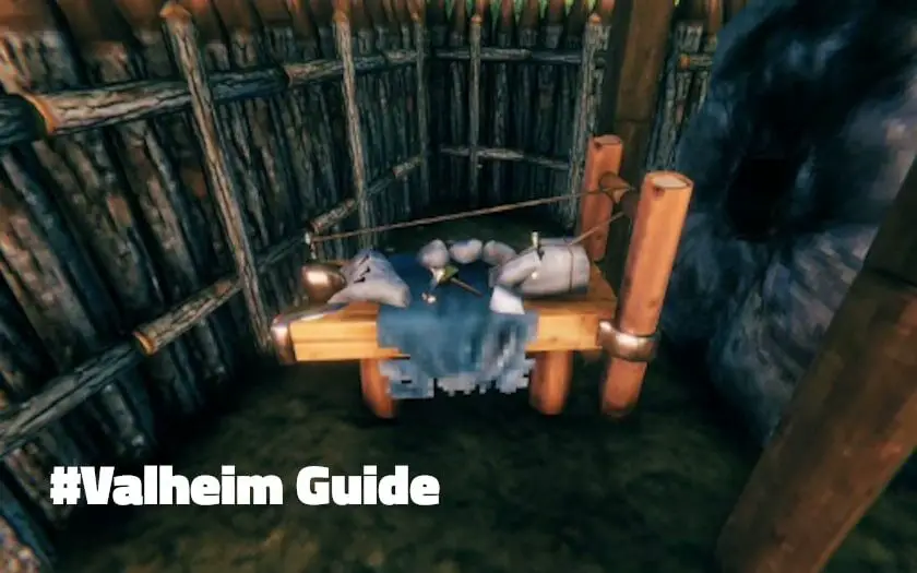 valheim guide steinmetz