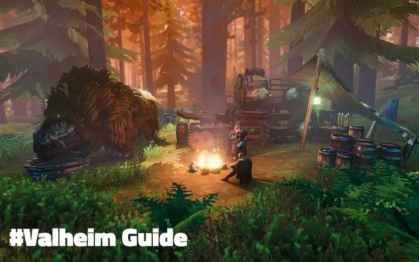 valheim guide händler und münzen