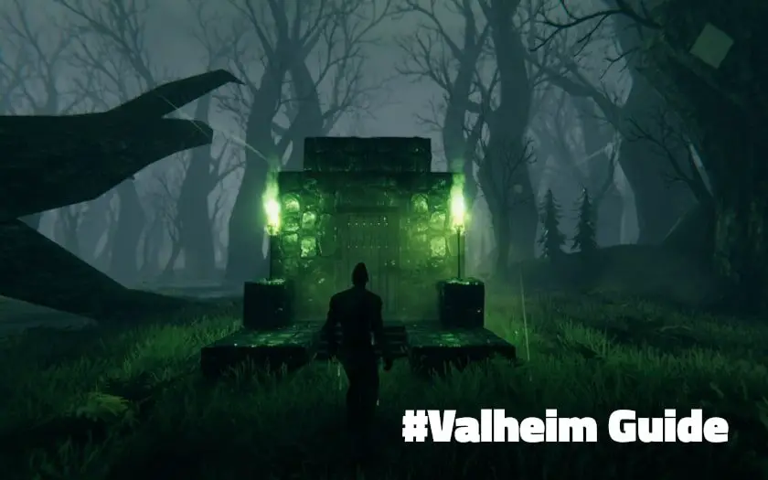 valheim guide sumpfgebiet