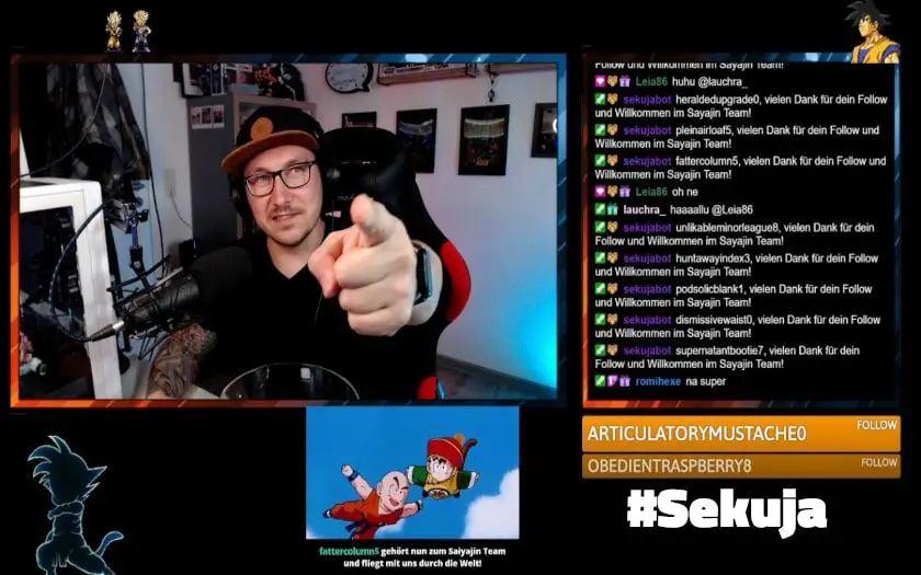 sekuja twitch streamer