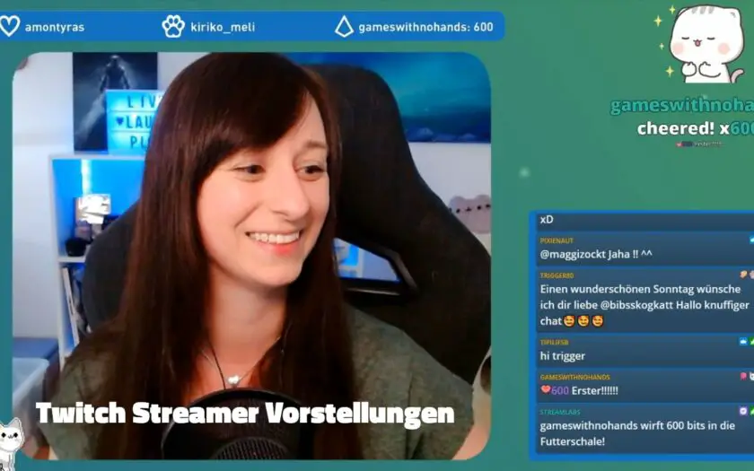 twitch streamer vorstellungen