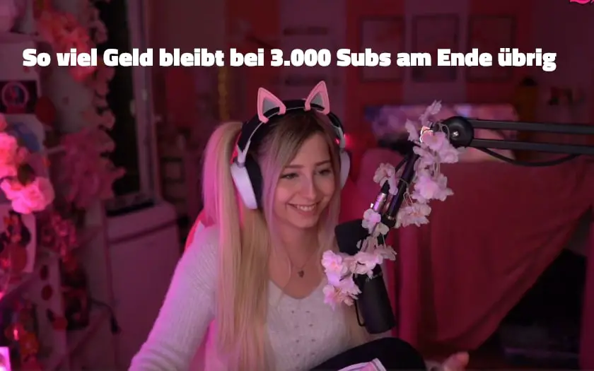 Twitch Einnahmen: So viel Geld verdient man mit 3.000 Subs