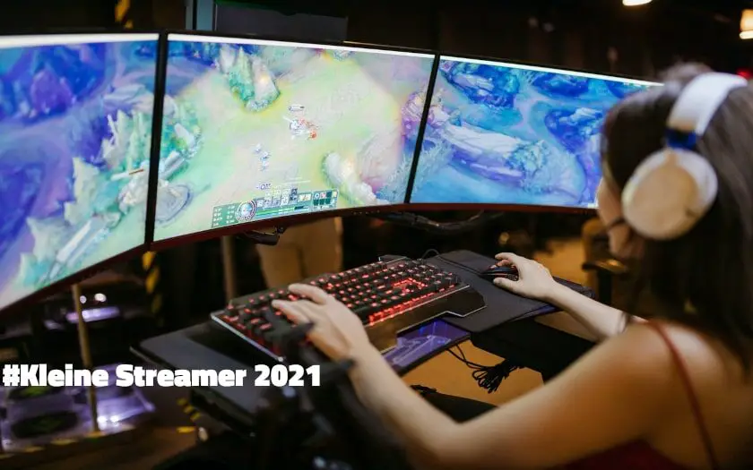 Kleine Streamer 2021