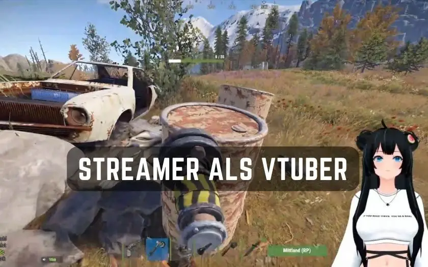 Streamer als VTuber