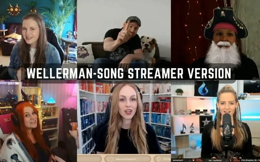 Twitch Streamer Wellerman-Song