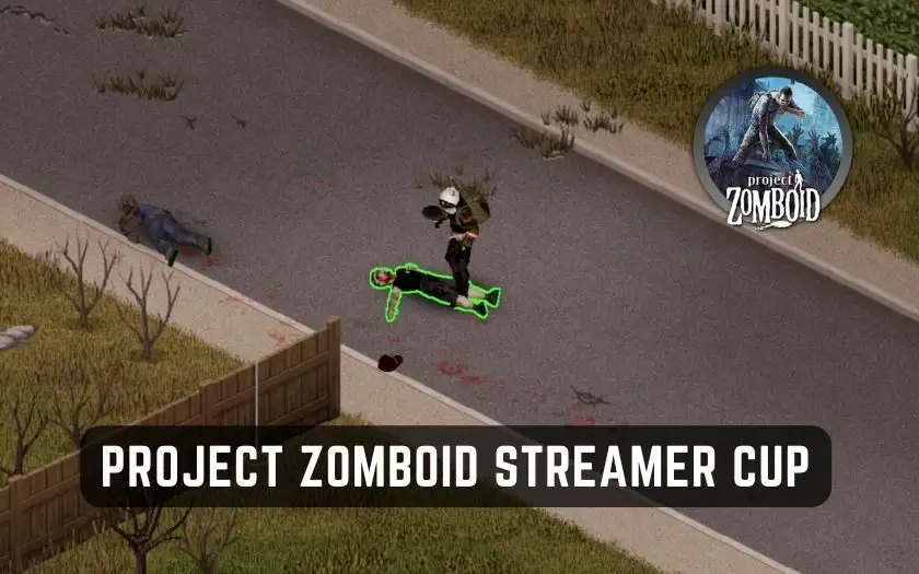 Project Zomboid Streamer Cup