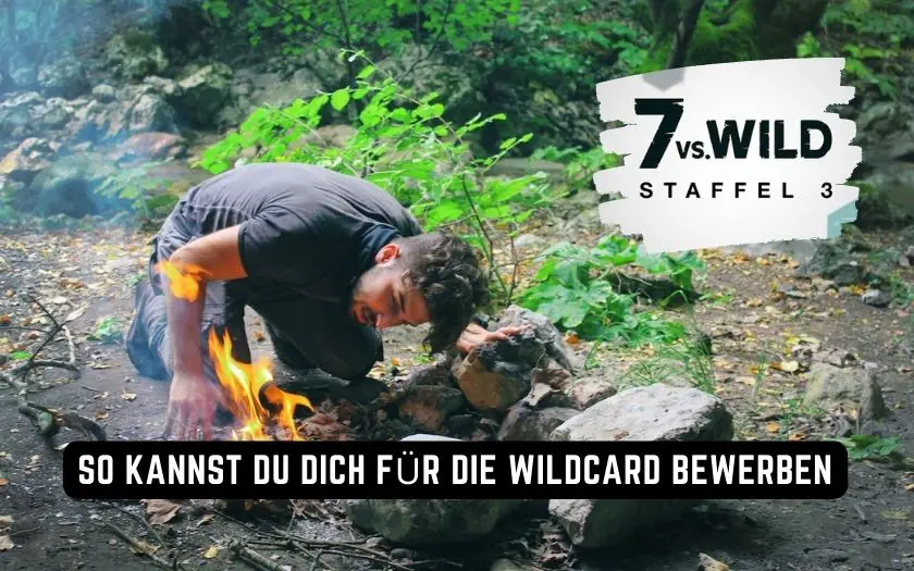 7 vs Wild Wildcard