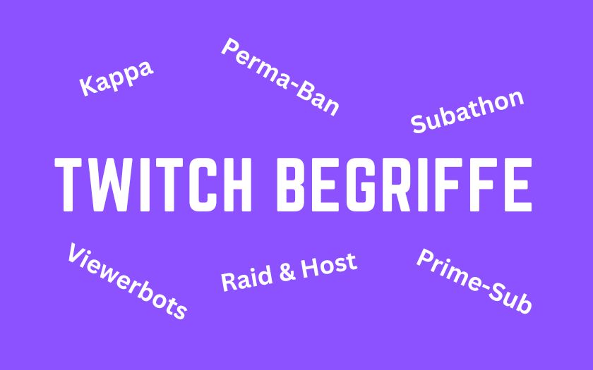 Twitch Begriffe einfach erklärt