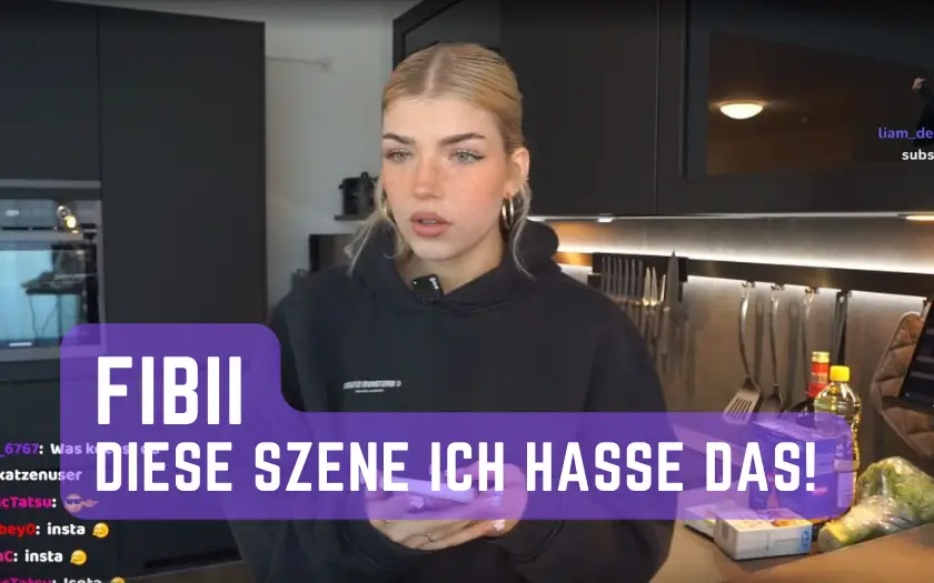 Fibii enttäuscht von Streamer Freunde